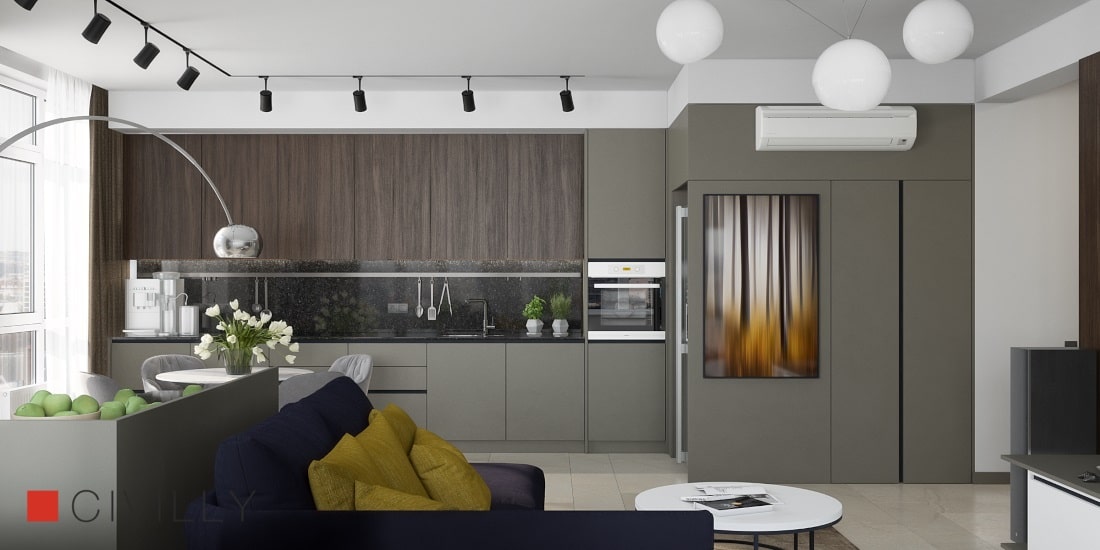 Livingroom-modern-functionalism-10