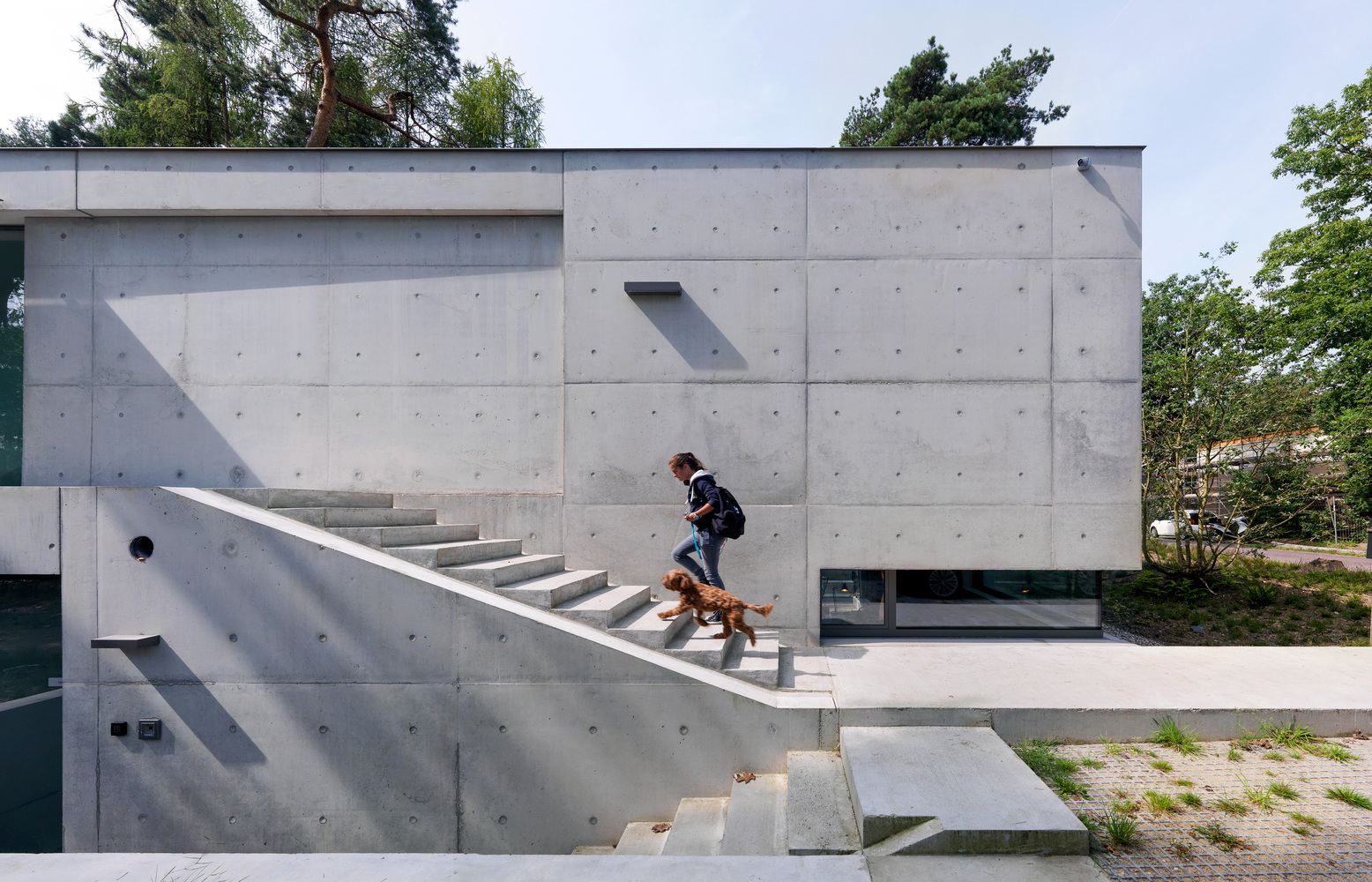 Новые решения в архитектуре - House Zeist