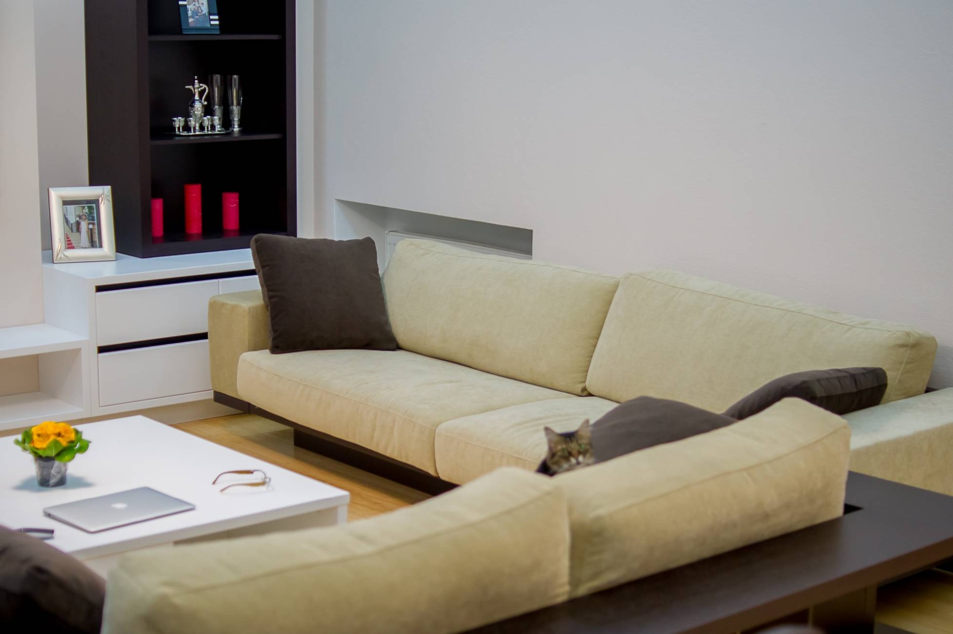 Дизайн интерьера, импорт и производство мебели