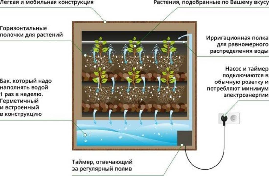полив вертикального озеленения