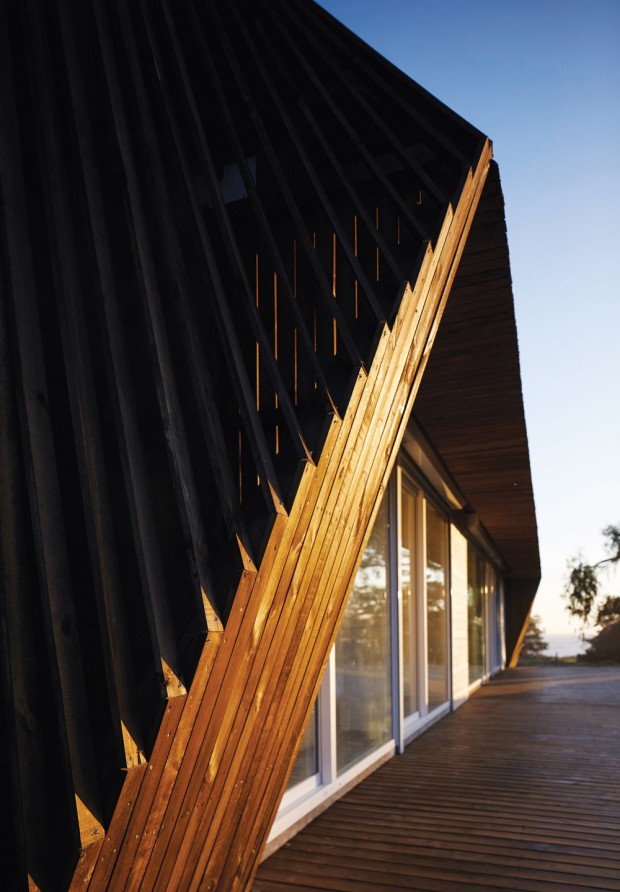 Строительство каркасных домов