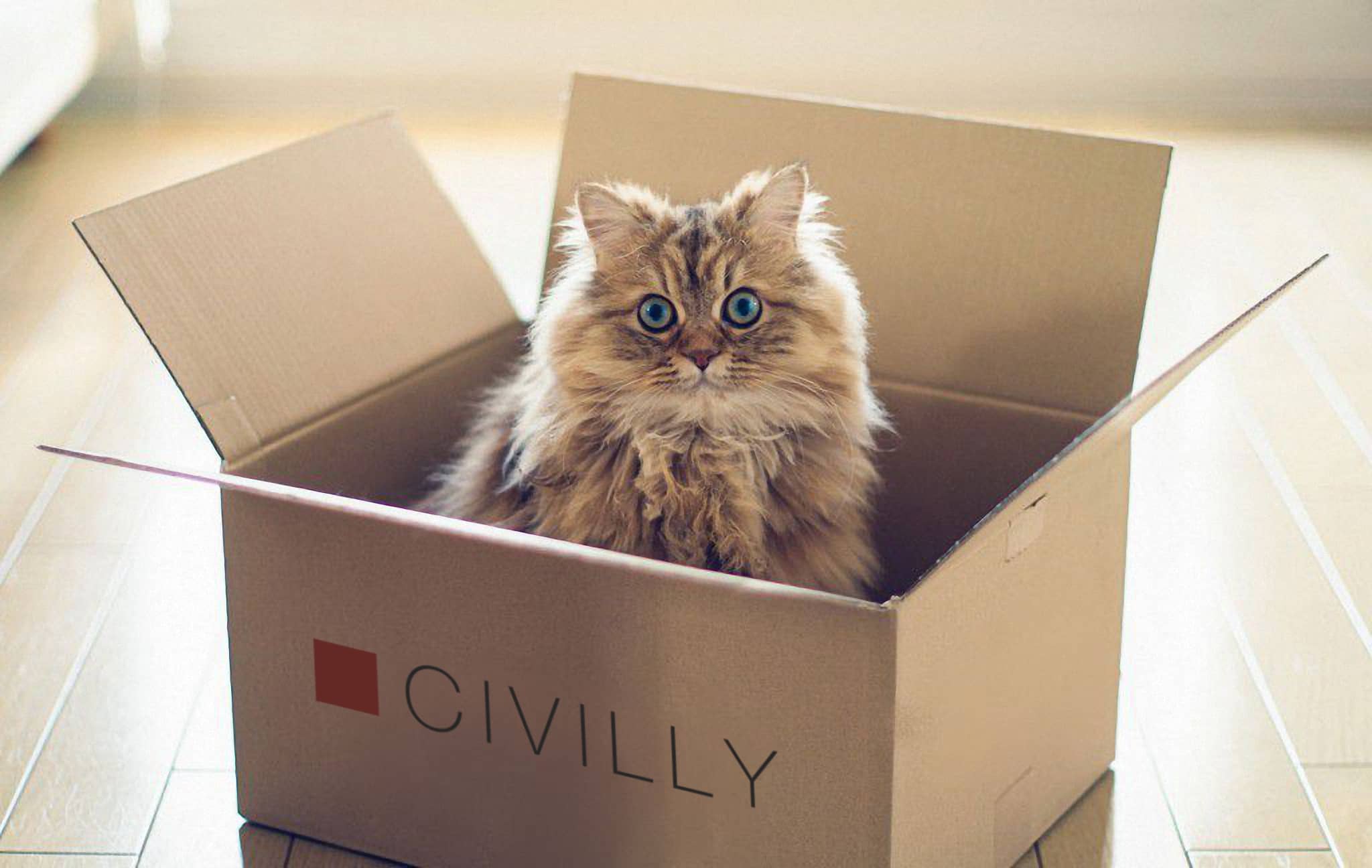 Новоселье в Киеве