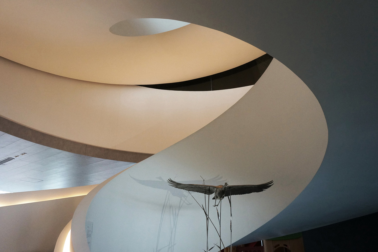 Художественная галерея Hilltop Gallery