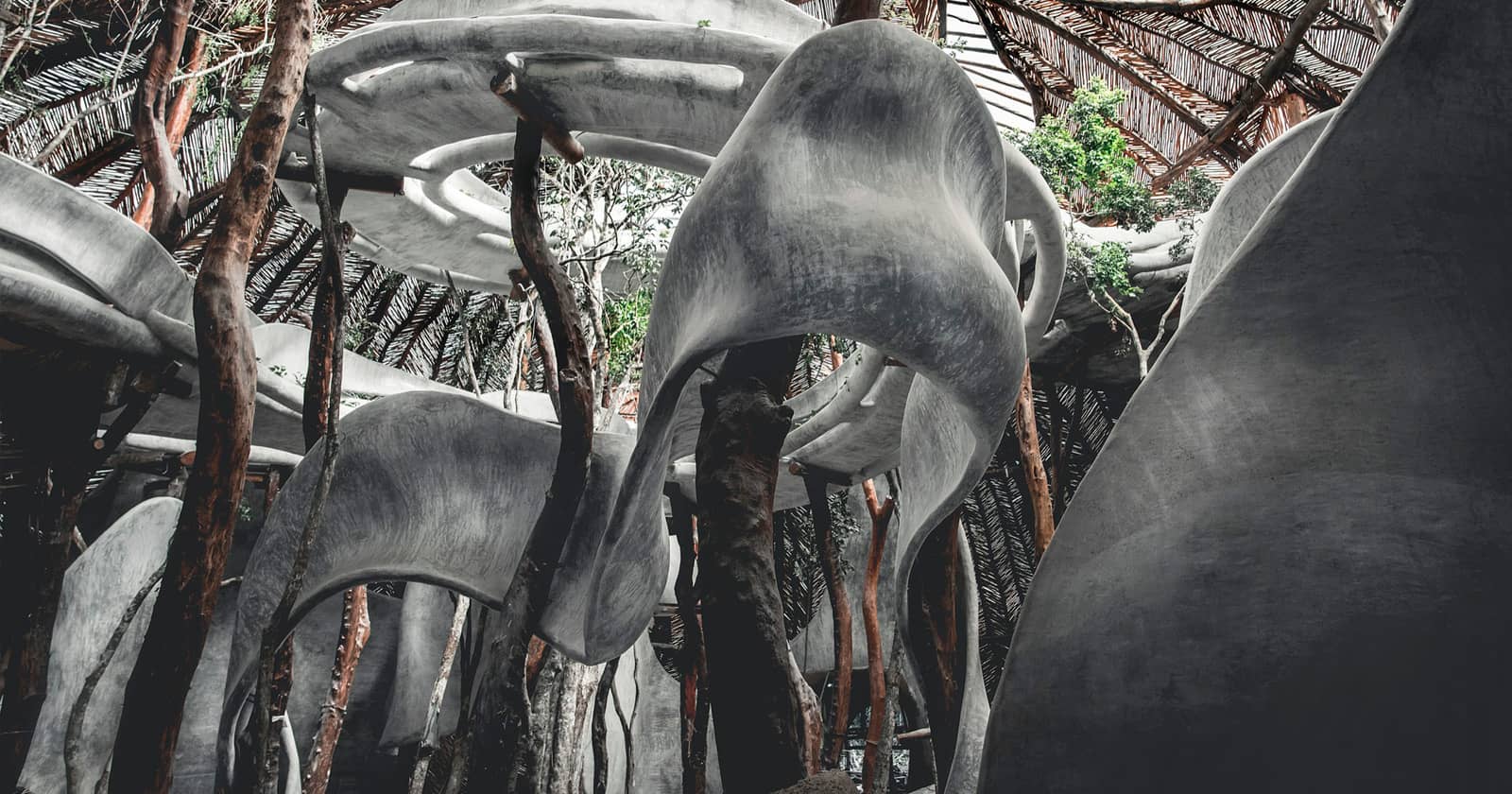 У джунглях Мексики відкрився артцентр