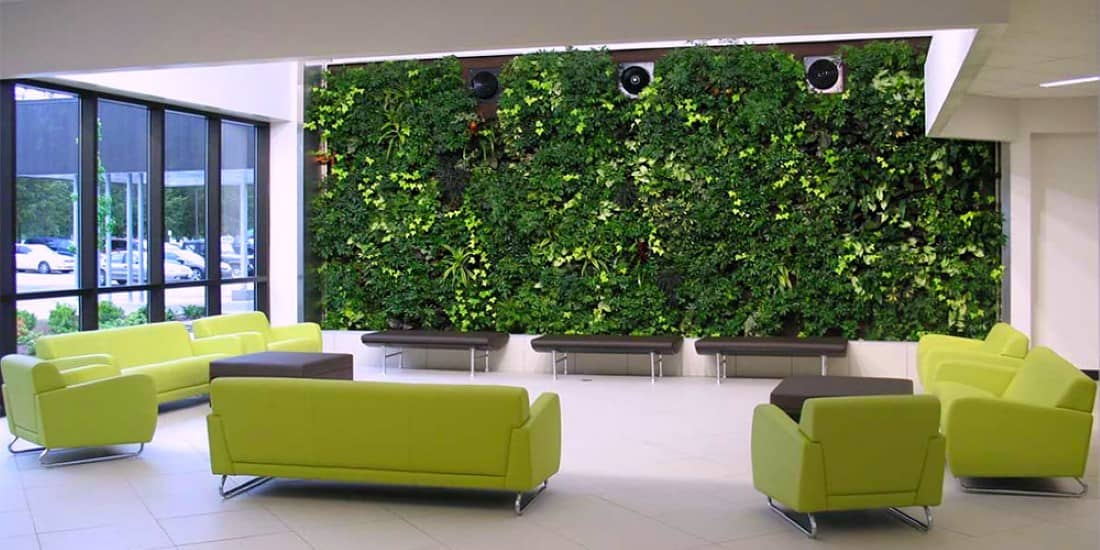 Вертикальное озеленение в дизайне интерьера