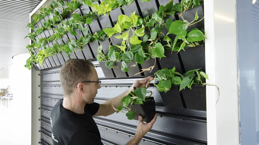 системой полива фото стены