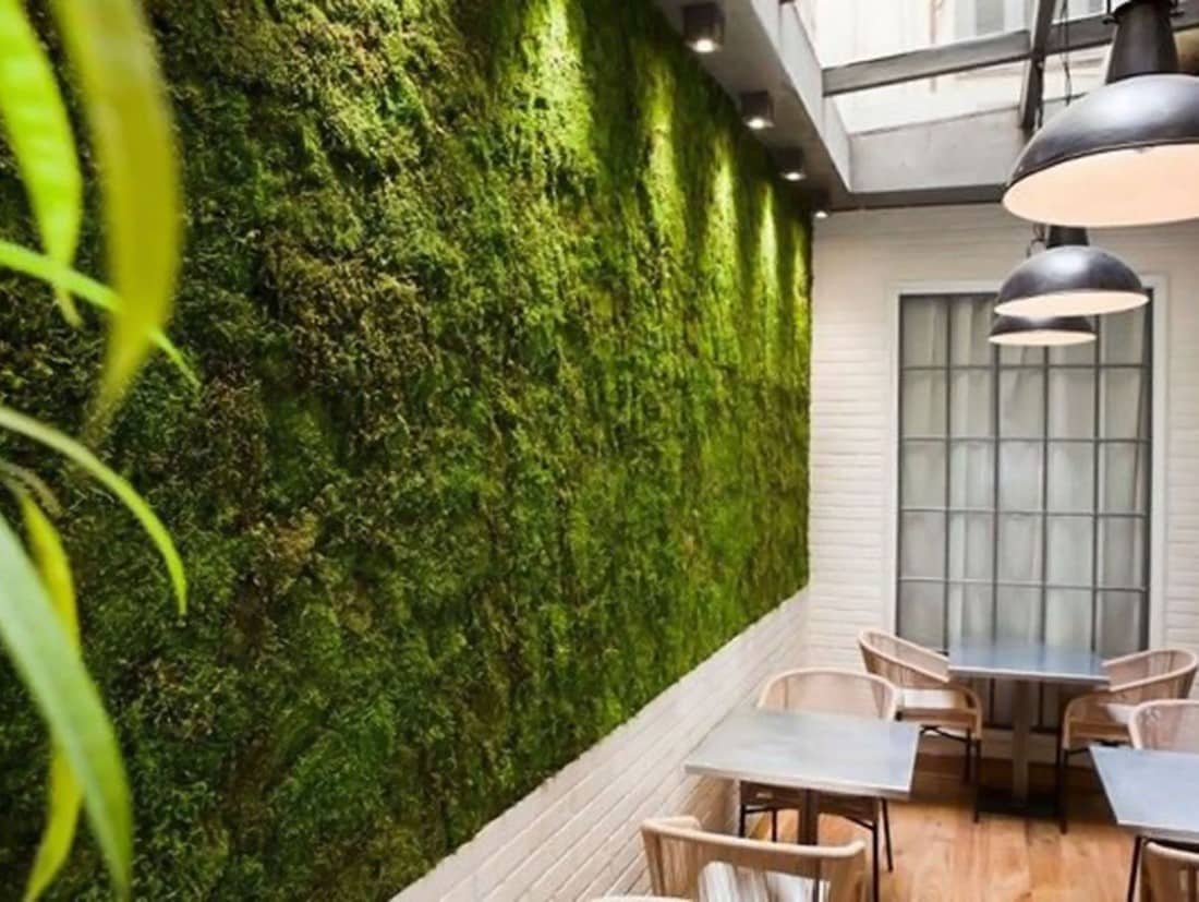 зеленая стена