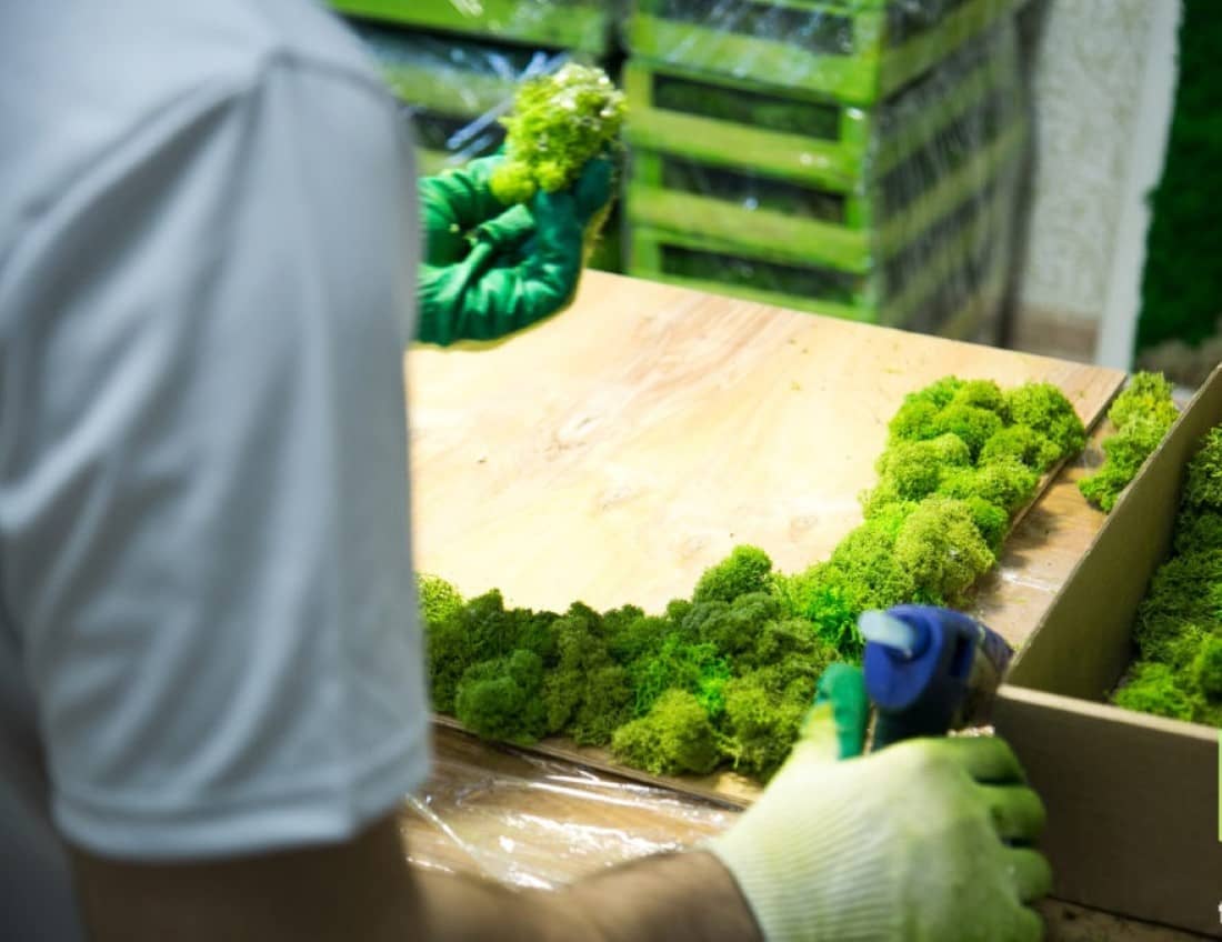 инсталляция из мха